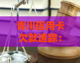 青川信用卡欠款追踪：逾期案件详细查询与解决方案