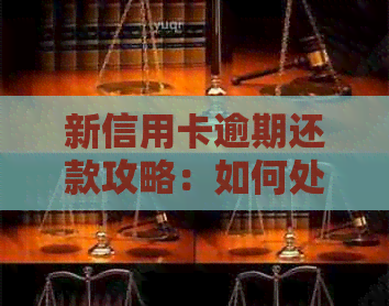 新信用卡逾期还款攻略：如何处理建设银行信用卡忘记还款问题？