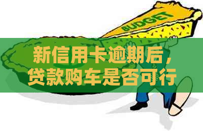 新信用卡逾期后，贷款购车是否可行？了解影响及解决方案！