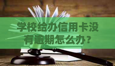 学校给办信用卡没有逾期怎么办？