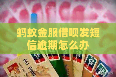 蚂蚁金服借呗发短信逾期怎么办