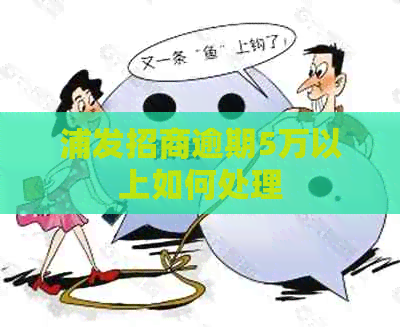 浦发招商逾期5万以上如何处理