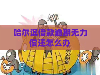 哈尔滨借款逾期无力偿还怎么办