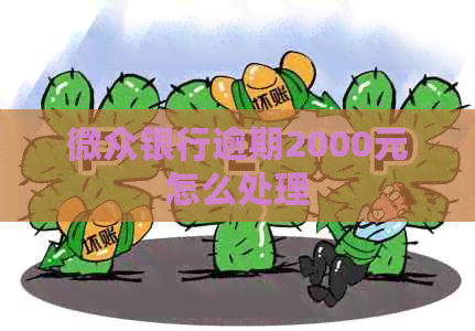 微众银行逾期2000元怎么处理