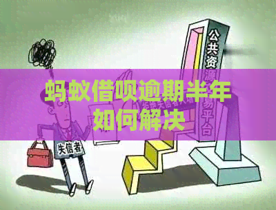 蚂蚁借呗逾期半年如何解决