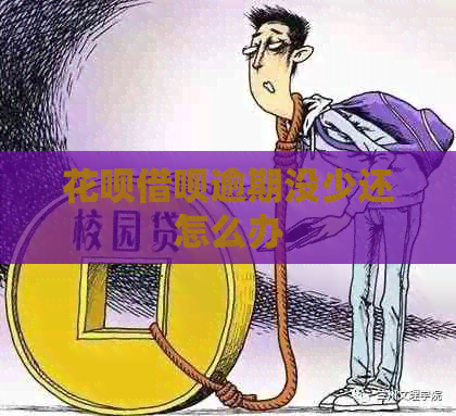 花呗借呗逾期没少还怎么办