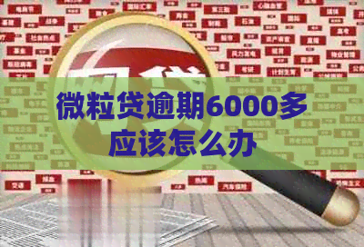 微粒贷逾期6000多应该怎么办