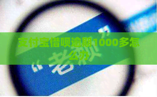 支付宝借呗逾期1000多怎么办