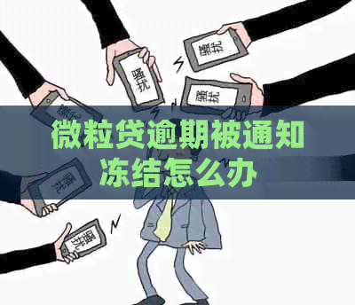 微粒贷逾期被通知冻结怎么办