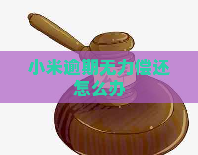 小米逾期无力偿还怎么办