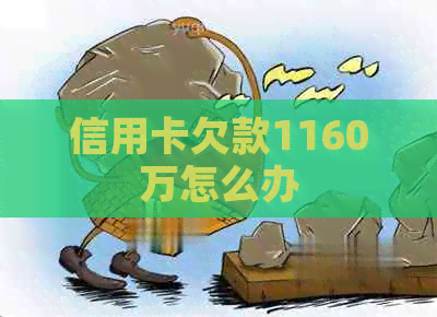 信用卡欠款1160万怎么办