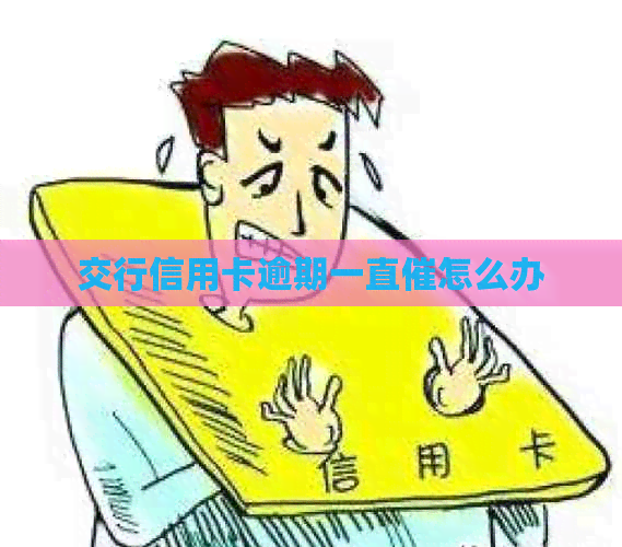 交行信用卡逾期一直催怎么办