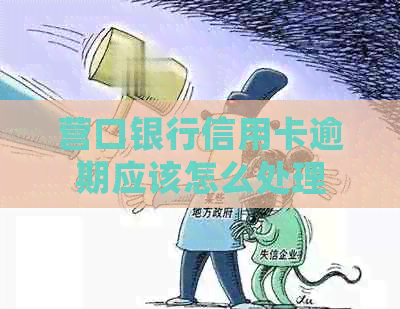 营口银行信用卡逾期应该怎么处理