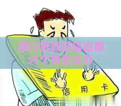 银行贷款逾期六个月怎么办