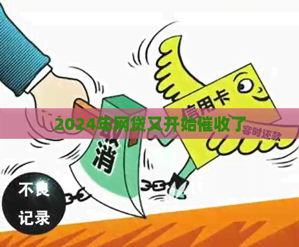 2024年网贷又开始了