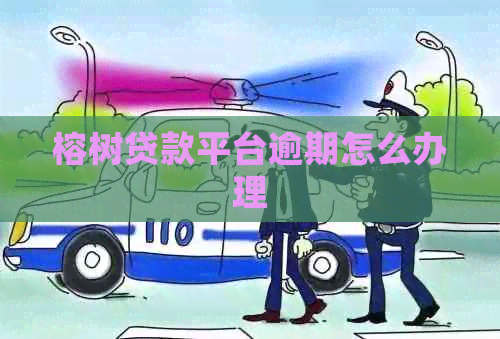 榕树贷款平台逾期怎么办理