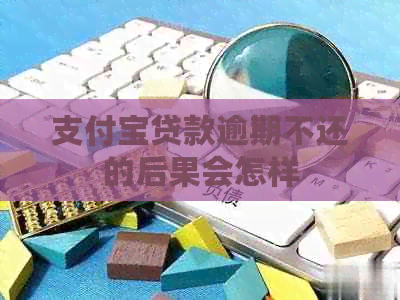 支付宝贷款逾期不还的后果会怎样