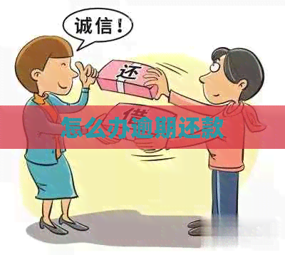 怎么办逾期还款