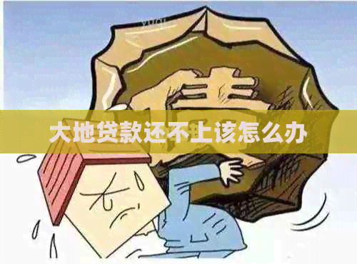 大地贷款还不上该怎么办