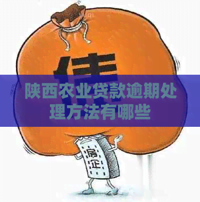 陕西农业贷款逾期处理方法有哪些