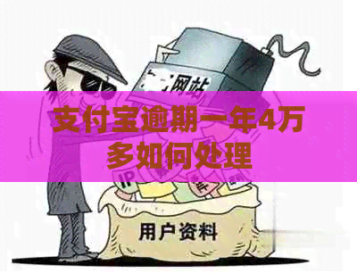 支付宝逾期一年4万多如何处理