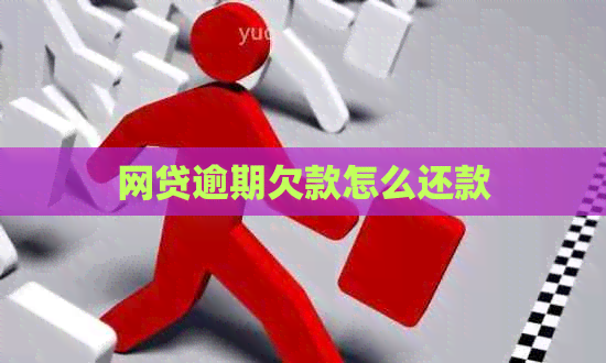 网贷逾期欠款怎么还款