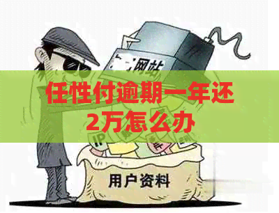 任性付逾期一年还2万怎么办