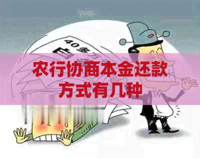 农行协商本金还款方式有几种