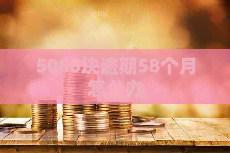 5000块逾期58个月怎么办