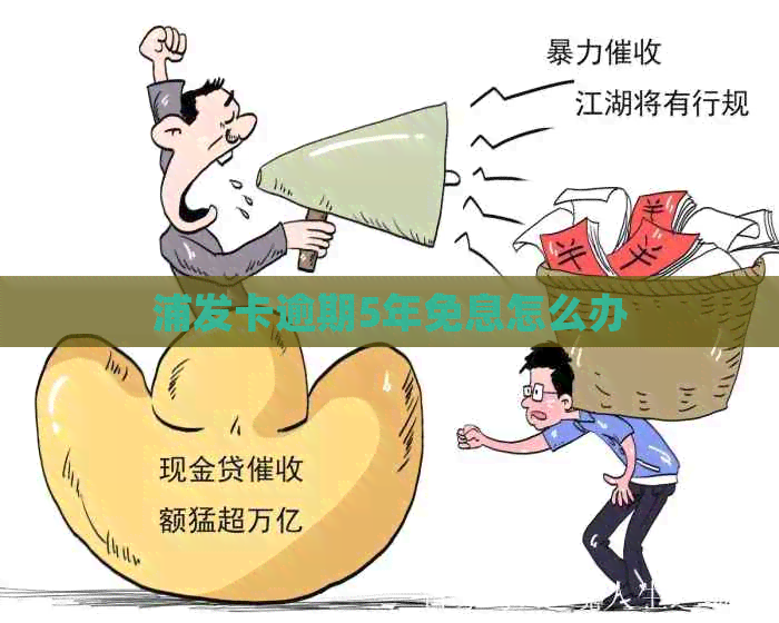 浦发卡逾期5年免息怎么办