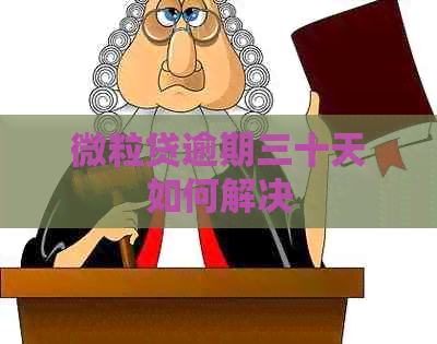 微粒贷逾期三十天如何解决