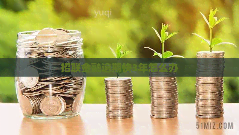 招联金融逾期快3年怎么办