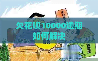 欠花呗10000逾期如何解决