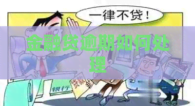 金融贷逾期如何处理