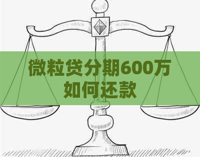 微粒贷分期600万如何还款