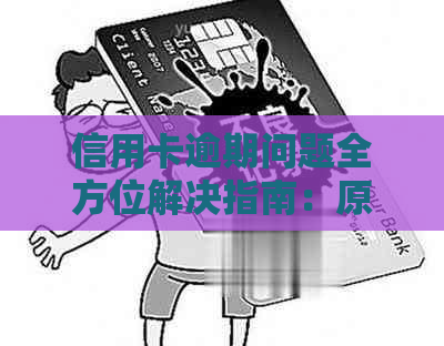 信用卡逾期问题全方位解决指南：原因、影响、补救措及应对策略