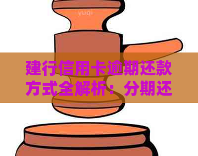 建行信用卡逾期还款方式全解析：分期还款及逾期处理策略一应俱全