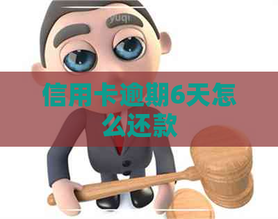 信用卡逾期6天怎么还款