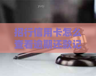 招行信用卡怎么查看逾期还款记录明细？