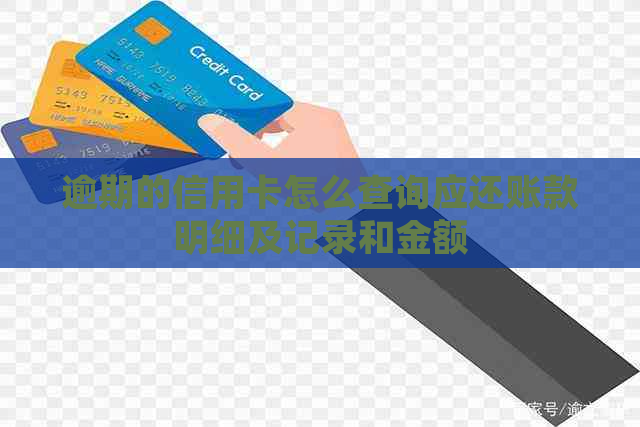 逾期的信用卡怎么查询应还账款明细及记录和金额
