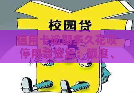 信用卡逾期多久花呗停用会恢复：额度、正常功能与影响解析