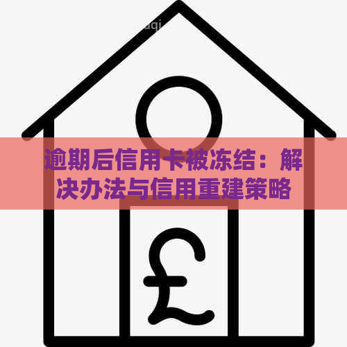 逾期后信用卡被冻结：解决办法与信用重建策略