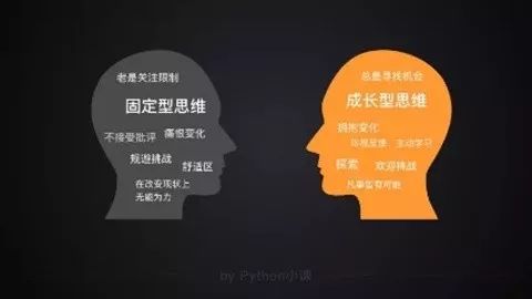 ai的生成可以取代程序员：是与否的探讨