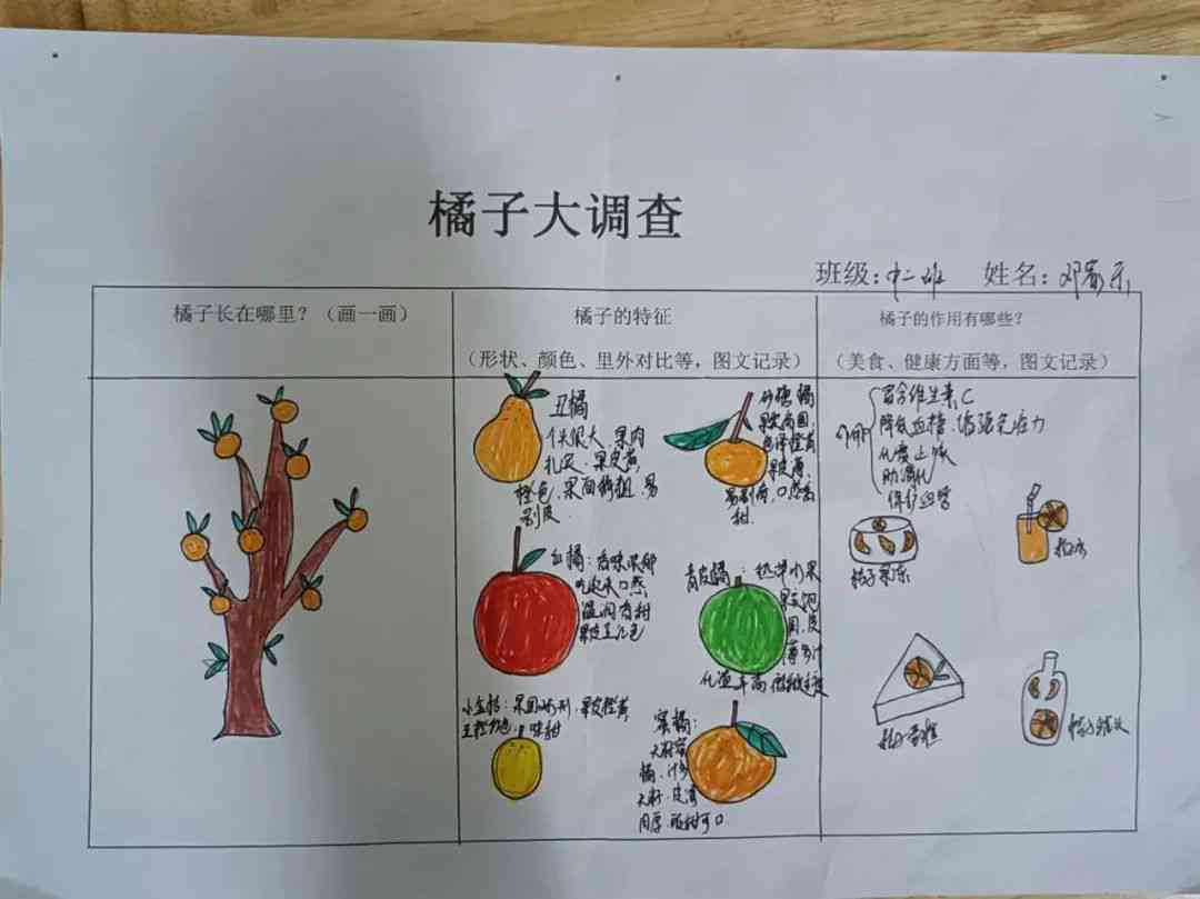 橘子生成活动：幼儿园美篇与课程设计及主题活动实践