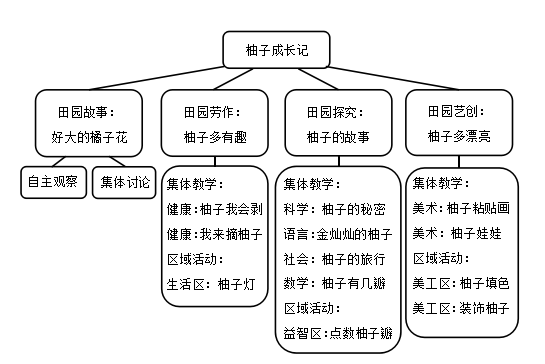 橘子生成活动：幼儿园美篇与课程设计及主题活动实践