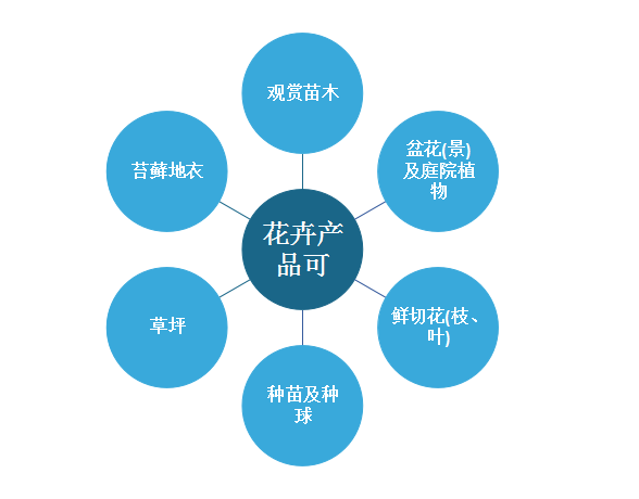 全方位花卉设计软件解决方案：满足创意设计、种植规划与市场推广需求