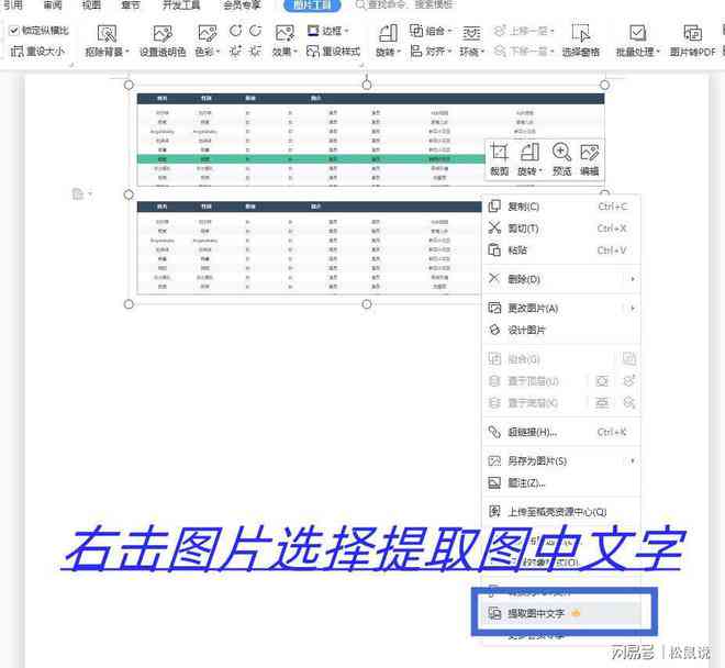 免费自动生成头像：高效软件工具一键生成个性化头像