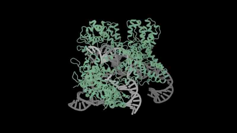 ai怎么生成元素插画：打造独特视觉效果的全过程解析