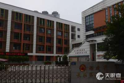 阳江市东区特殊教育培智学校：人民支持下的优质学校风貌