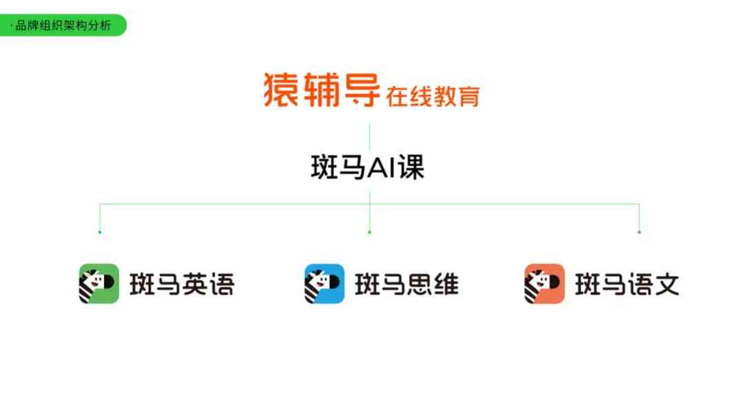 斑马ai课工作心得薪酬待遇怎么样：入职体验与工资福利详解